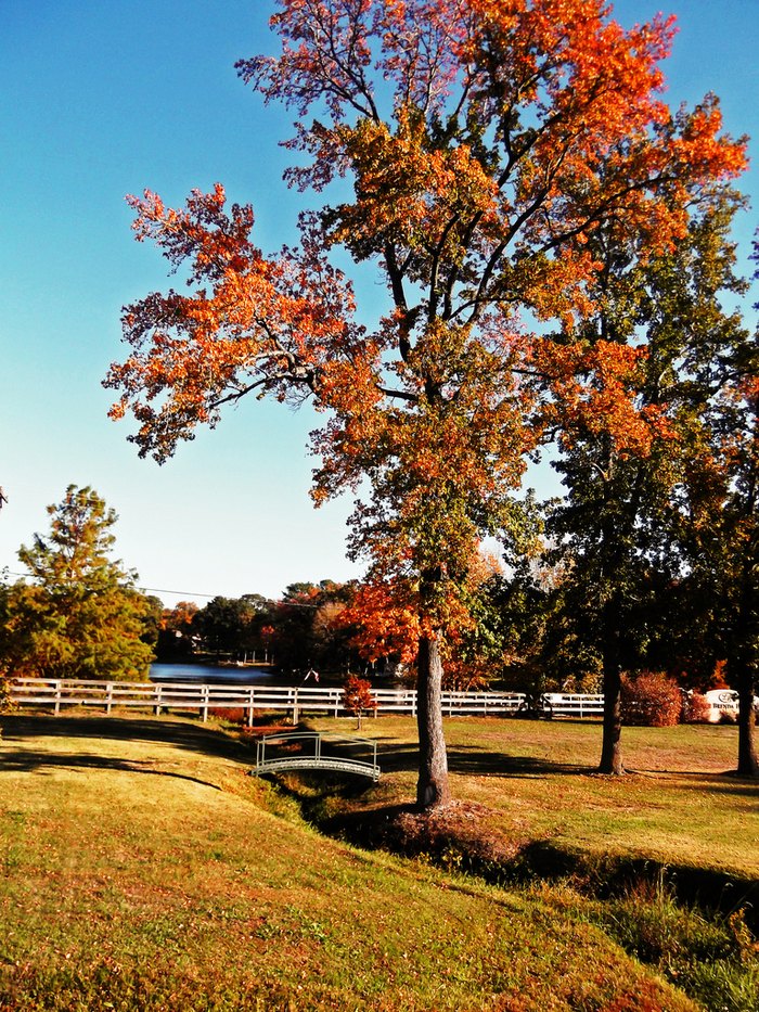 Winnsboro Is Best Town Near Dallas Fort Worth To Visit This Fall