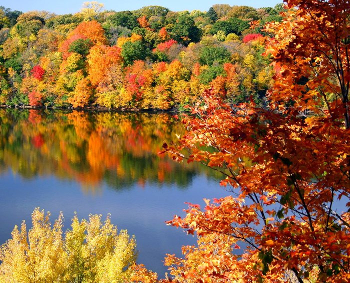 Adventureworks Has The Best Fall Canopy Tour In Arkansas