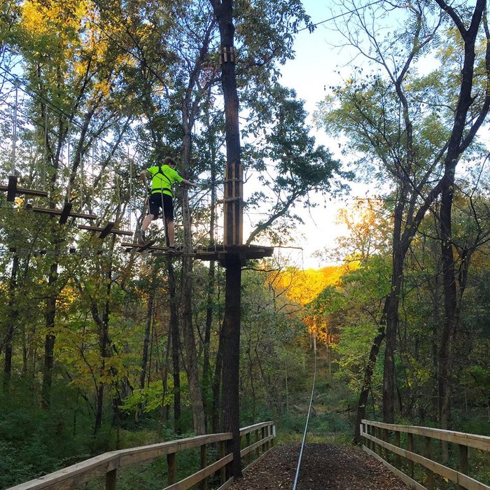 The Most Heart Pounding Canopy Walk In Kansas City