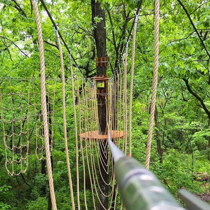 The Most Heart Pounding Canopy Walk In Kansas City