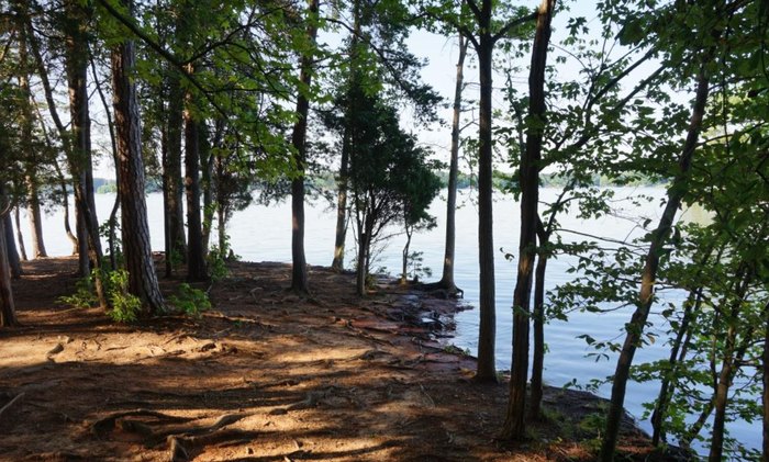 6 Beautiful And Scenic State Parks To Visit Near Charlotte 8783