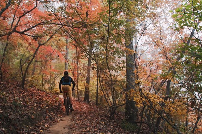 7 Best Short Hikes In Charlotte For Fall Foliage
