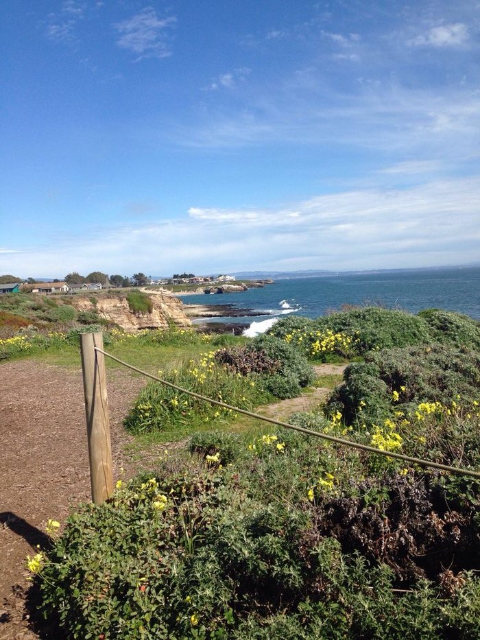 Seymour Marine Discovery Center is the Best Ocean Museum in