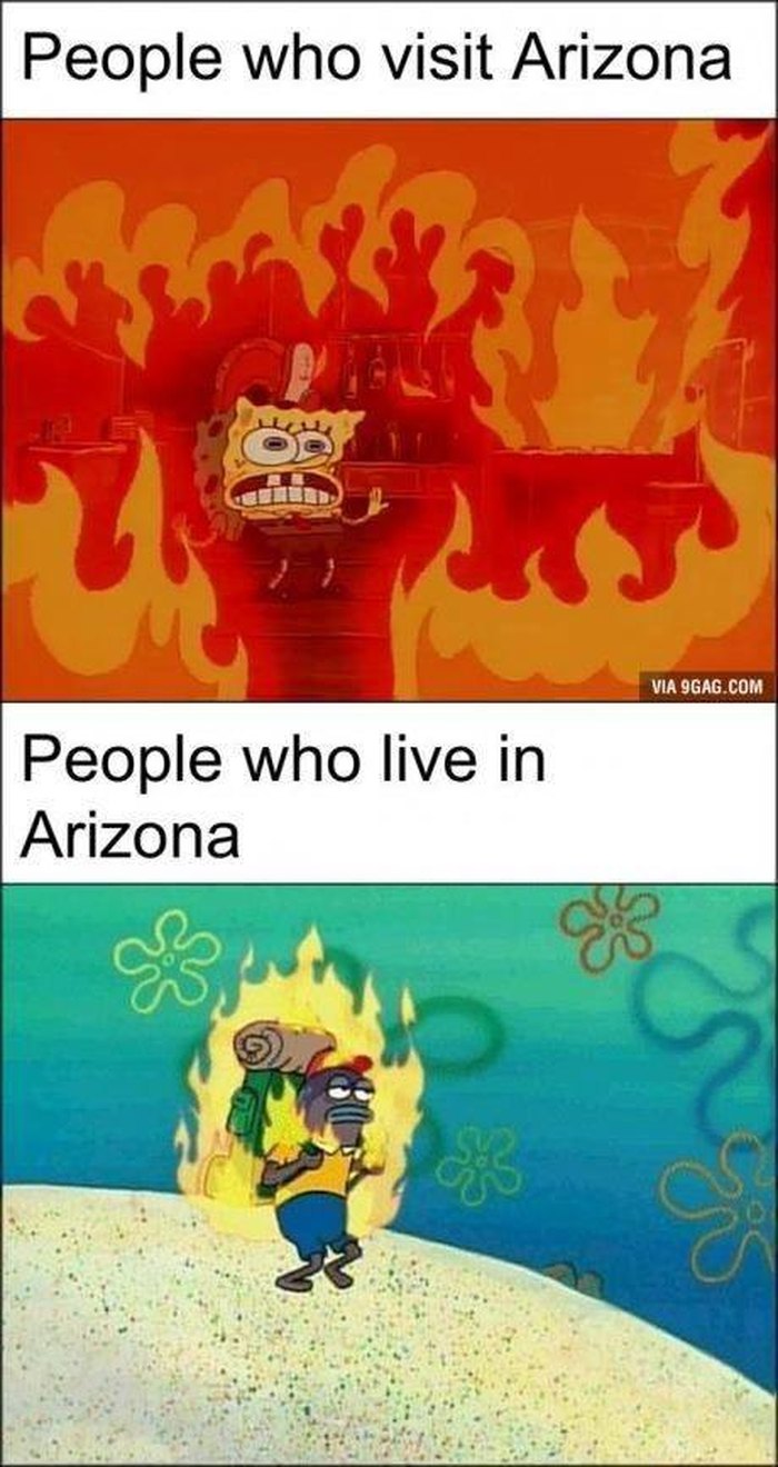 11 Funny Arizona Memes 3170