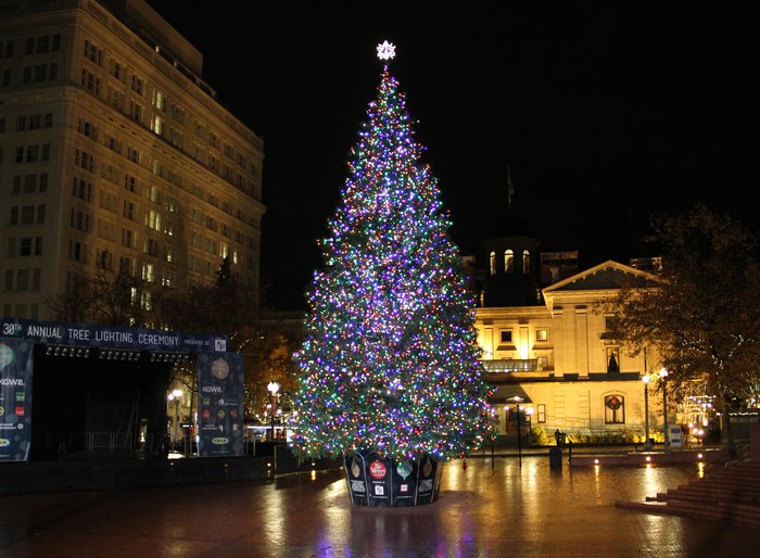 The Epic Portland Tree Lighting Ceremony That Will Dazzle And Delight You