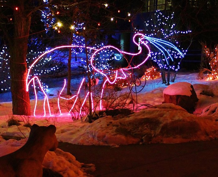 The Mesmerizing Christmas Display In