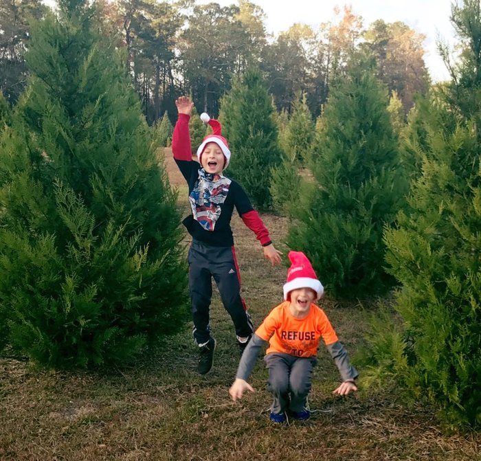 13 Magical Christmas Tree Farms In South Carolina