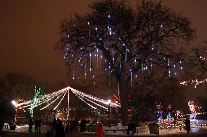 ZooLights Is Best Winter Lights Display In Chicago