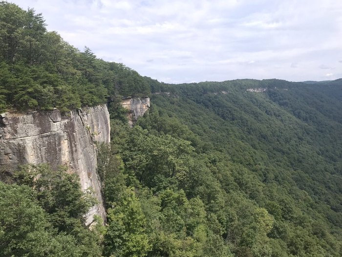 7 Best Hiking Trails in West Virginia