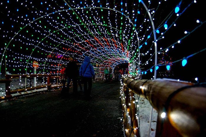 Lehigh Valley Zoo: Pennsylvania's Tunnel Of Lights Will Positively ...