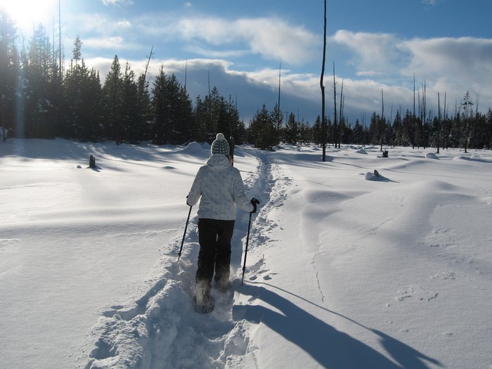 Our 10 Favorite Ways To Spend A Snowy Day In Utah