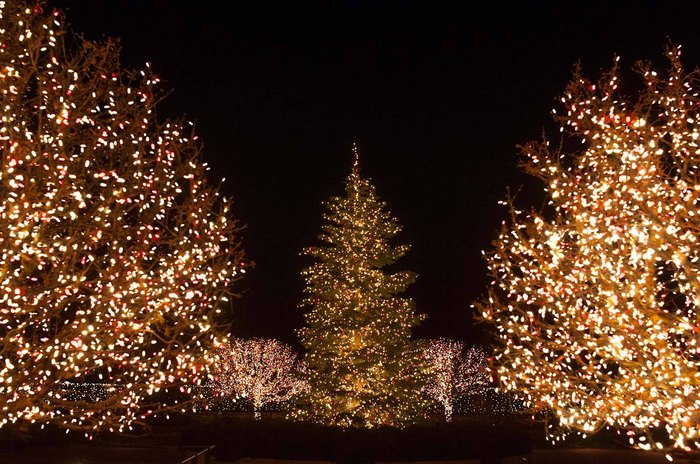 11 Magical Light Displays In Chicago You Can't Miss This Christmas