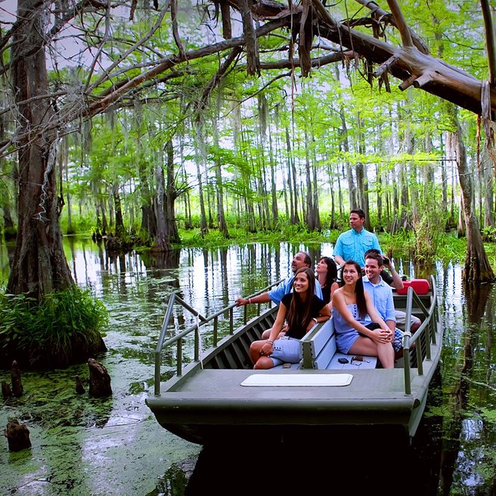 night swamp tours new orleans