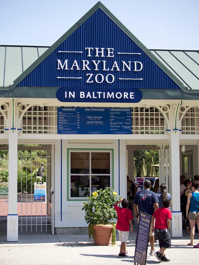 Why The Maryland Zoo Is Baltimore's Top Outdoor Attraction