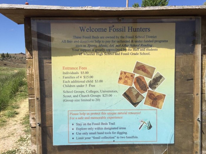 The Fossil Park In Oregon Where You Can Take Home Fossils