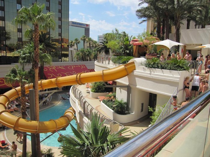 Shark Tank Water Slide In Vegas Is Nevada's Best Kept Secret - Narcity