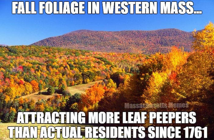 15 Funny Memes And Jokes About Massachusetts 7404