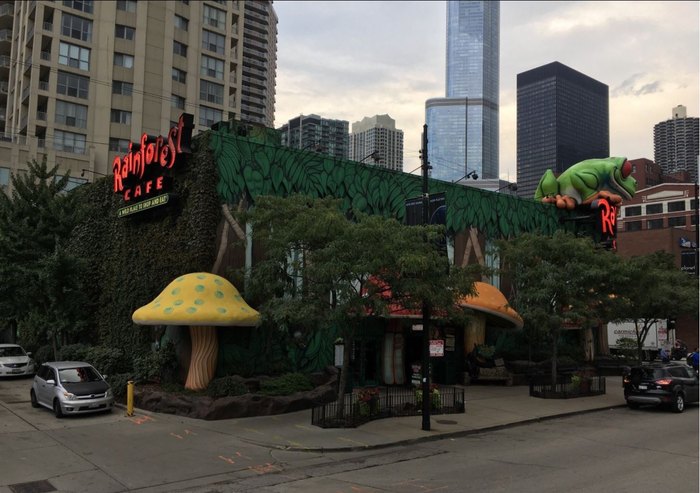 From the mall - Picture of Rainforest Cafe, Schaumburg - Tripadvisor