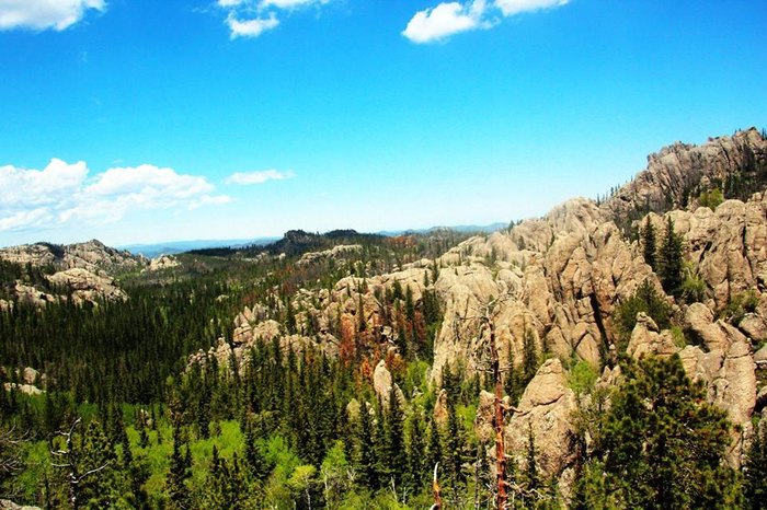 Custer State Park Is The Most Beautiful State Park In South Dakota