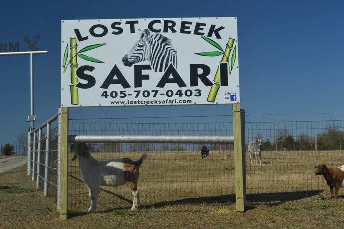 lost creek safari zoo