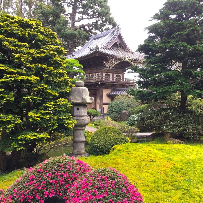 There's A Magical Japanese Tea Garden In San Francisco