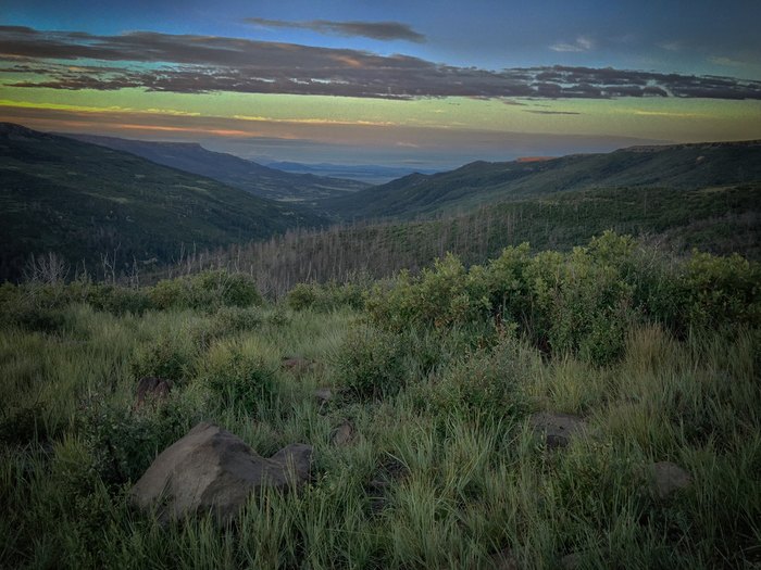 Sugarite Canyon: Where New Mexico’s Wild Side Comes Alive