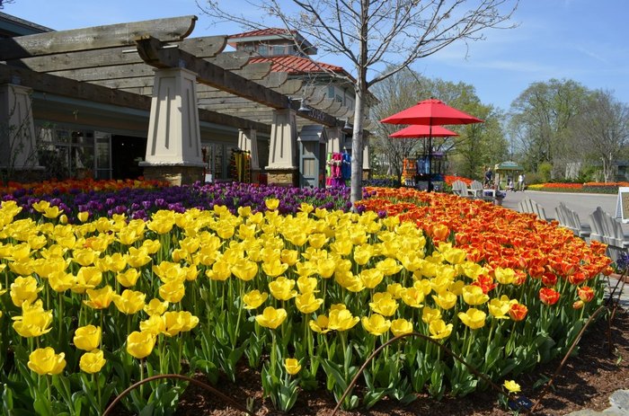 Saying Goodbye to Popsy - Cincinnati Zoo & Botanical Garden®