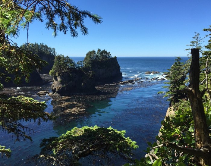 9 Of The Best Hikes In Washington Great For Families