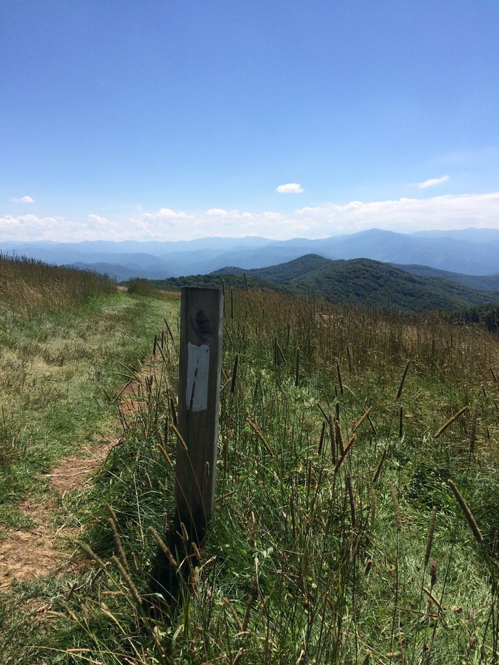 10 Best Hikes In North Carolina For Everyone