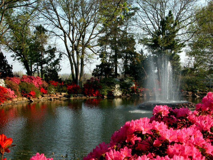The Beautiful Azalea Festival In Muskogee Is The Premier Spring Event