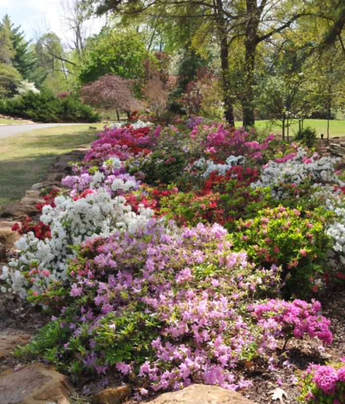 The Beautiful Azalea Festival In Muskogee Is The Premier Spring Event