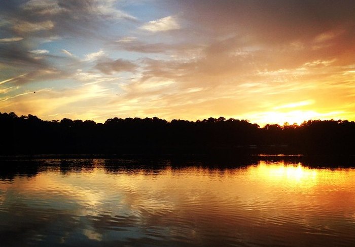 This Pontoon Boat Tour In Delaware Is The Best Way To See Trap Pond