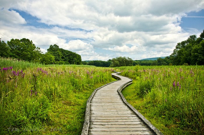 appalachian trail stairway to heaven