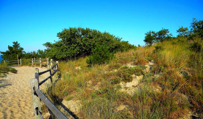 The Bike Trail At Cape Henlopen In Delaware Will Take You To The Top Of ...