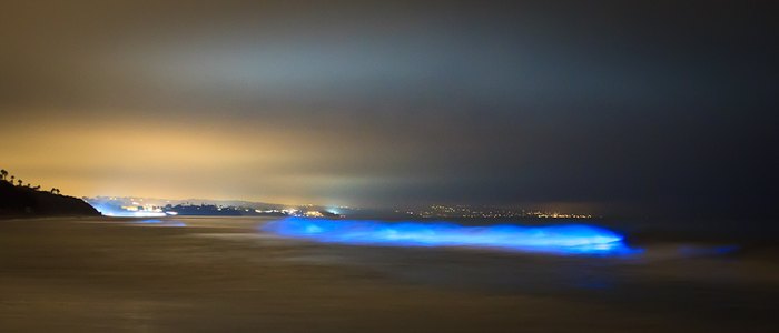 California's Bizarre Glowing Waves Need To Be Seen To Be Believed