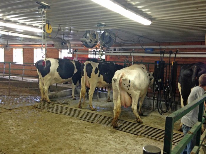 dairy farm tour michigan