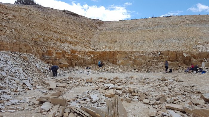 This Wyoming Fossil Safari Is One Of The Best Adventures You Can Have