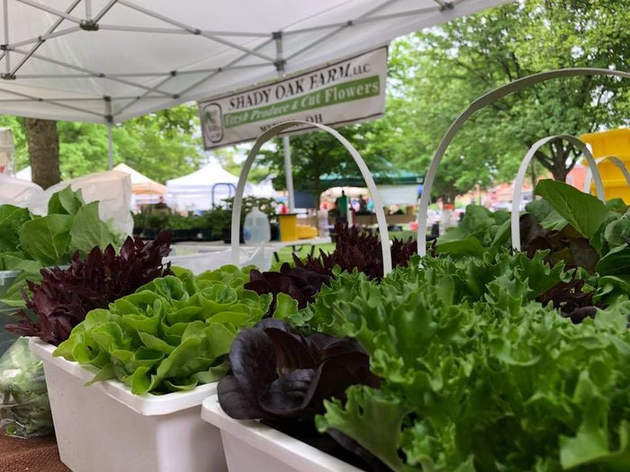 9 Greater Cleveland Markets That Will Complete Your Summer