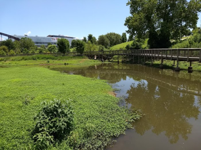 This Wetlands Boardwalk Trail Is The Most Unique Hike In Arkansas