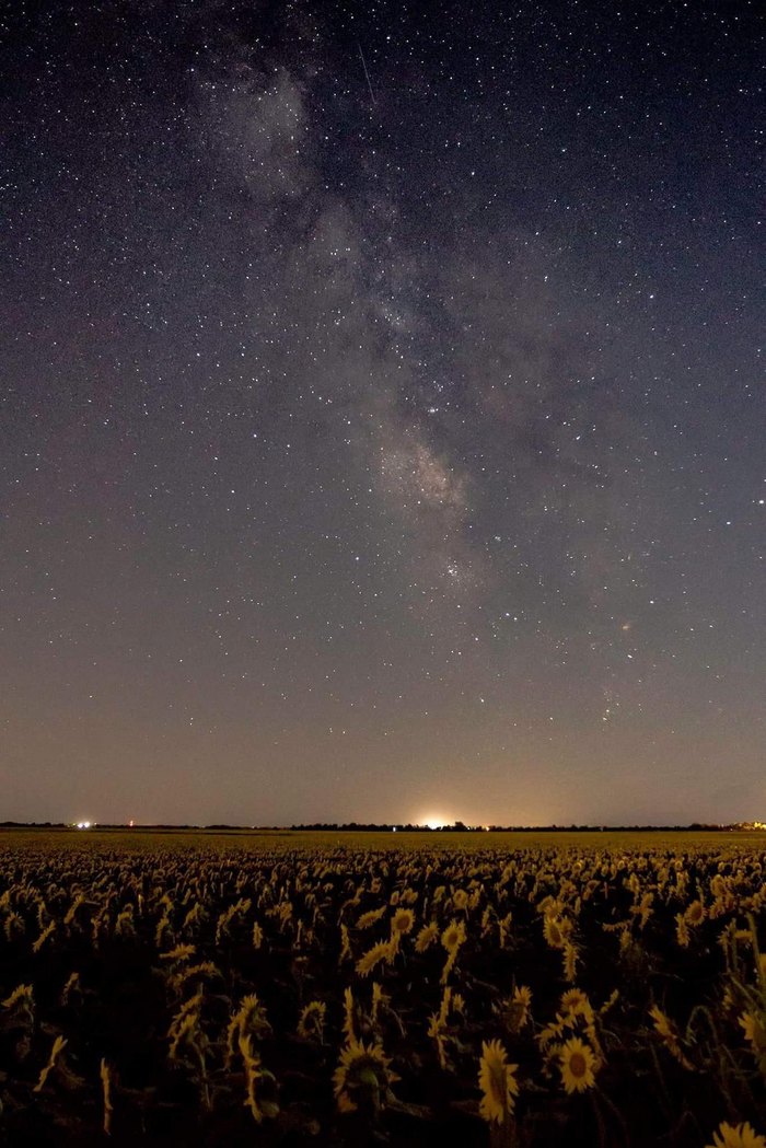 The Incredible Meteor Shower In Kansas This Summer