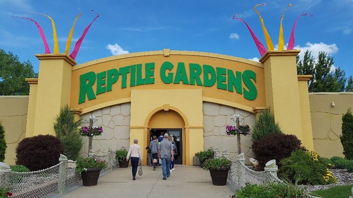 are dogs allowed in reptile gardens