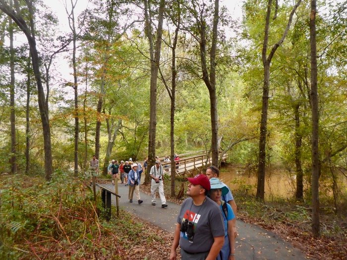 Lake Conestee Nature Park's Boardwalks Are Perfect For Exploring