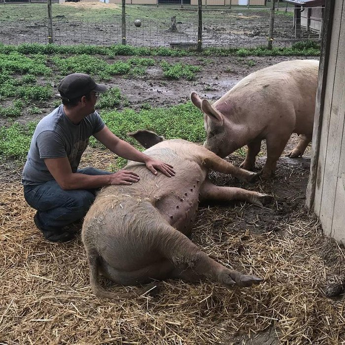 Happy Trails Is The Best Farm Animal Sanctuary In Cleveland