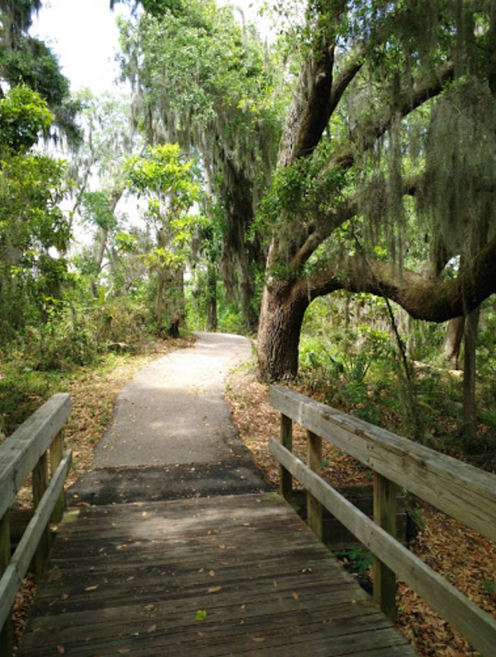 The Cypress Wetlands Trail In Port Royal South Carolina Is Like A Walk ...