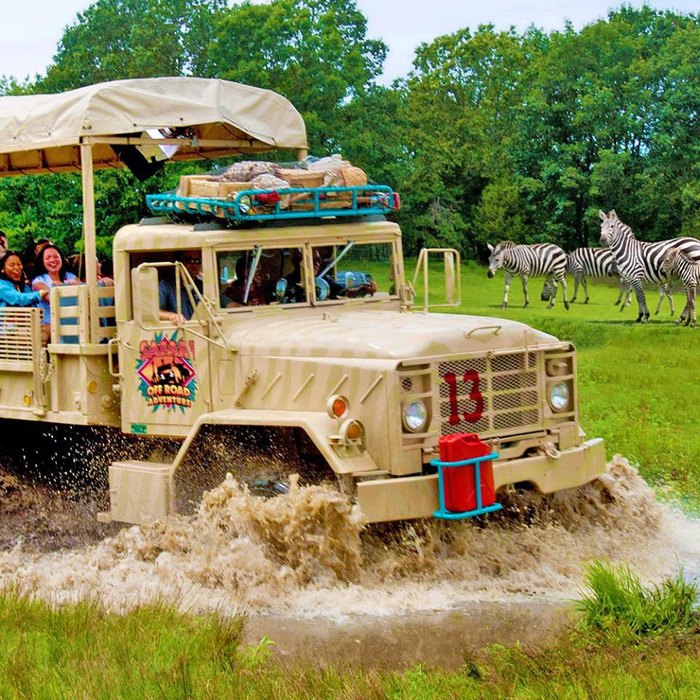 safari travel and tours newark nj