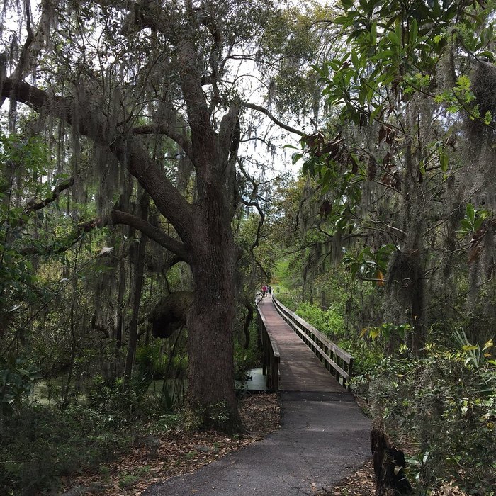 The Cypress Wetlands Trail In Port Royal South Carolina Is Like A Walk ...