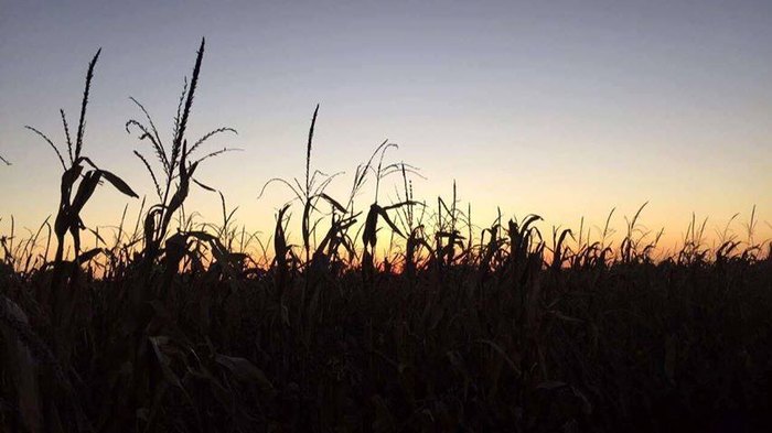 Pumpkinville Features A 20-Acre Corn Maze In Iowa That You'll Love