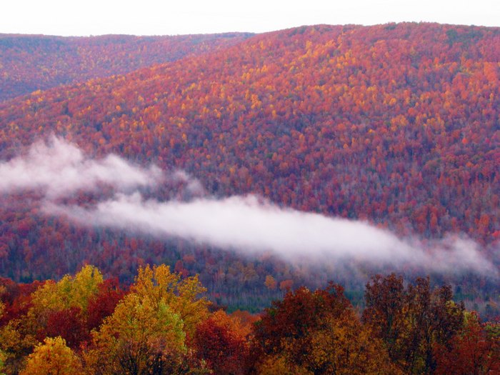 Tennessee's Fall Foliage Is Expected To Be Bright And Bold This Year