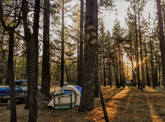 No Reservation Needed At Holcomb Valley Campground In Southern