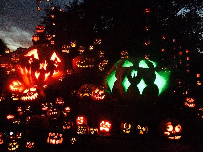 Jack-O-Lantern Spectacular: Best Pumpkin Glow In Rhode Island